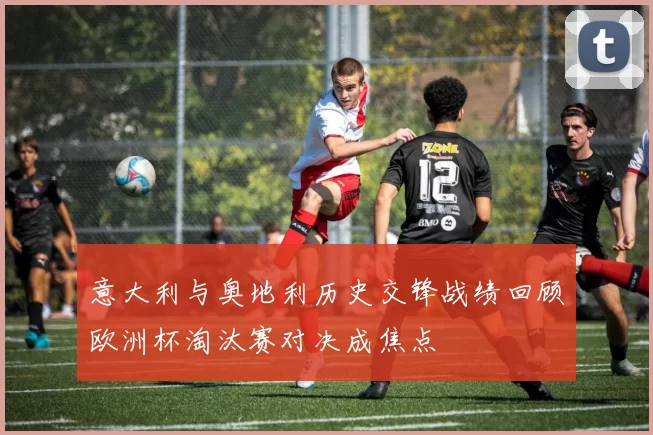 意大利与奥地利历史交锋战绩回顾欧洲杯淘汰赛对决成焦点