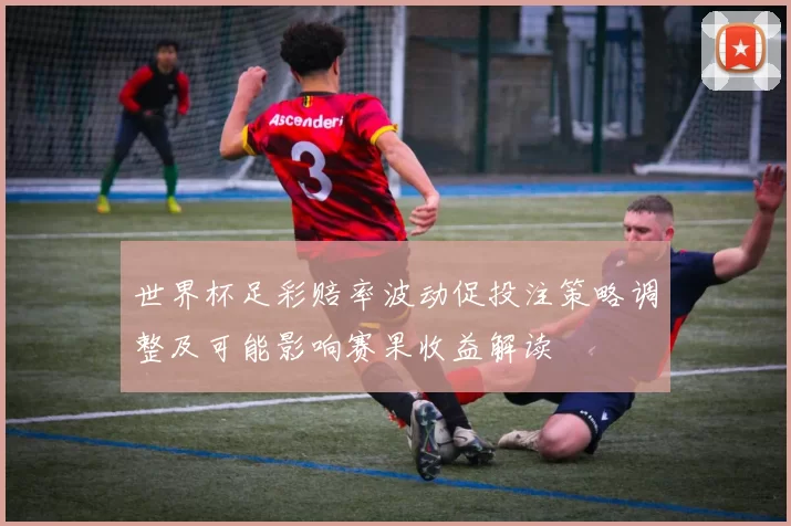 世界杯足彩赔率波动促投注策略调整及可能影响赛果收益解读