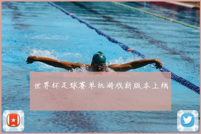 世界杯足球赛单机游戏新版本上线