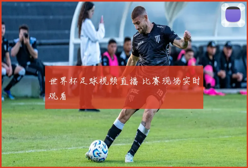 世界杯足球视频直播 比赛现场实时观看