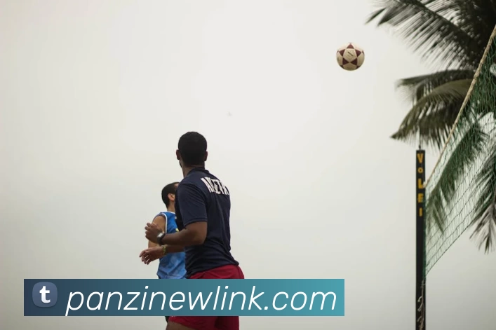 8868体育 - 全网最全最有态度的体育赛事直播平台发展历程